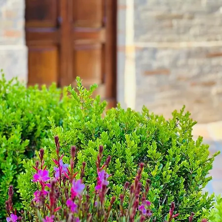 Chiesa Storica Del 1757 Con Vista Mare E Giardino Fermo