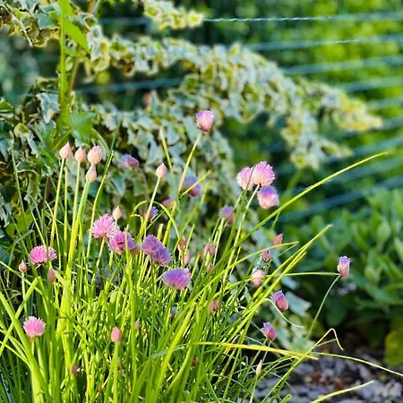 Chiesa Storica Del 1757 Con Vista Mare E Giardino